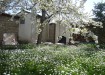 Hidden Garden / Antique Laundry