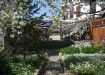 Hidden Garden